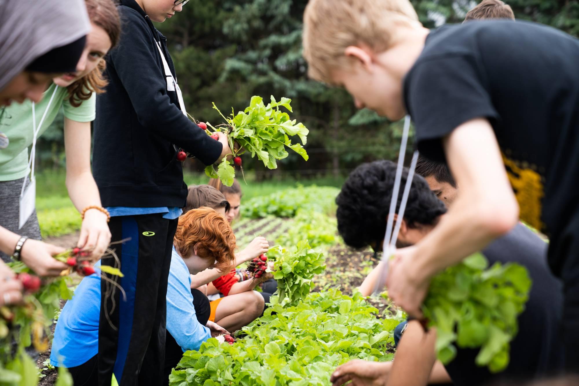 Students work on crops at Plainsong Farm